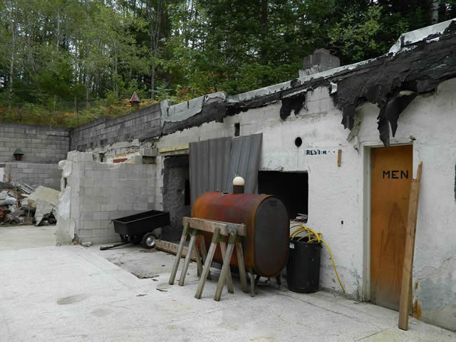 Underground Forest - Summer 2013 From Ron Gross (newer photo)